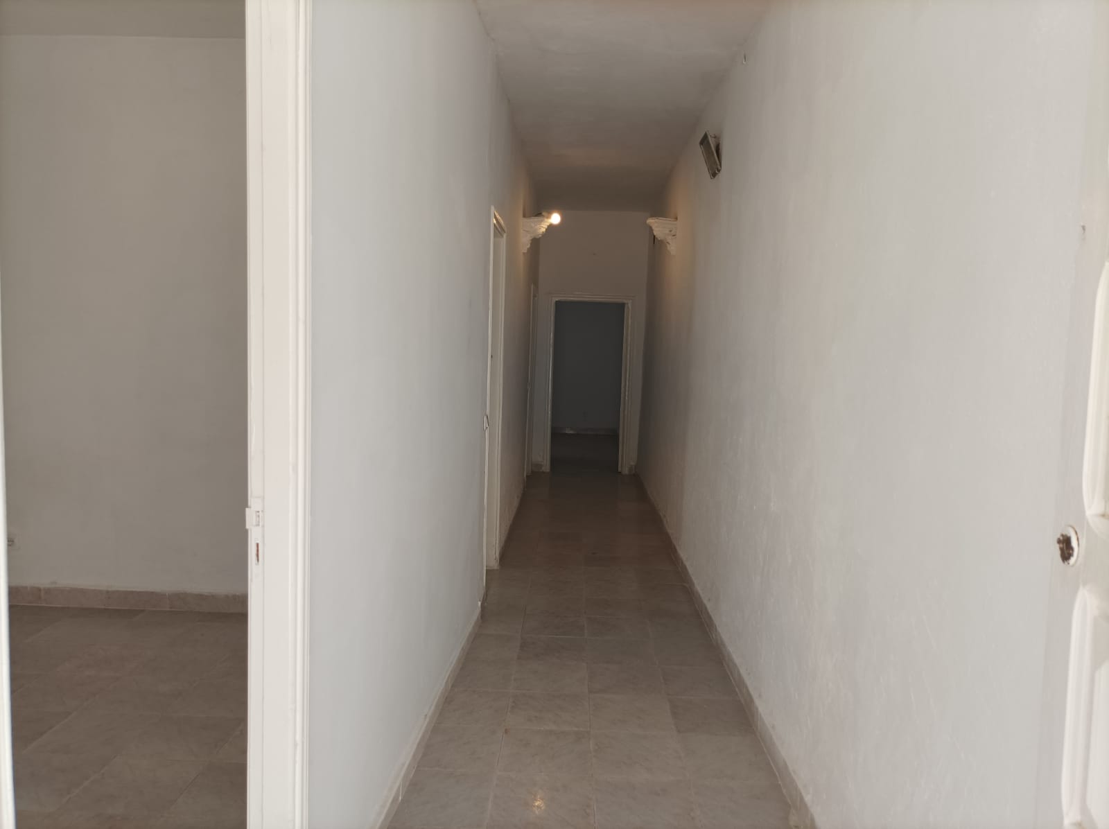 Raoued&nbsp;Cite Ennkhilet&nbsp;Location&nbsp;Maisons&nbsp;Studio 3 pi�ces a ennkhilet wb2901