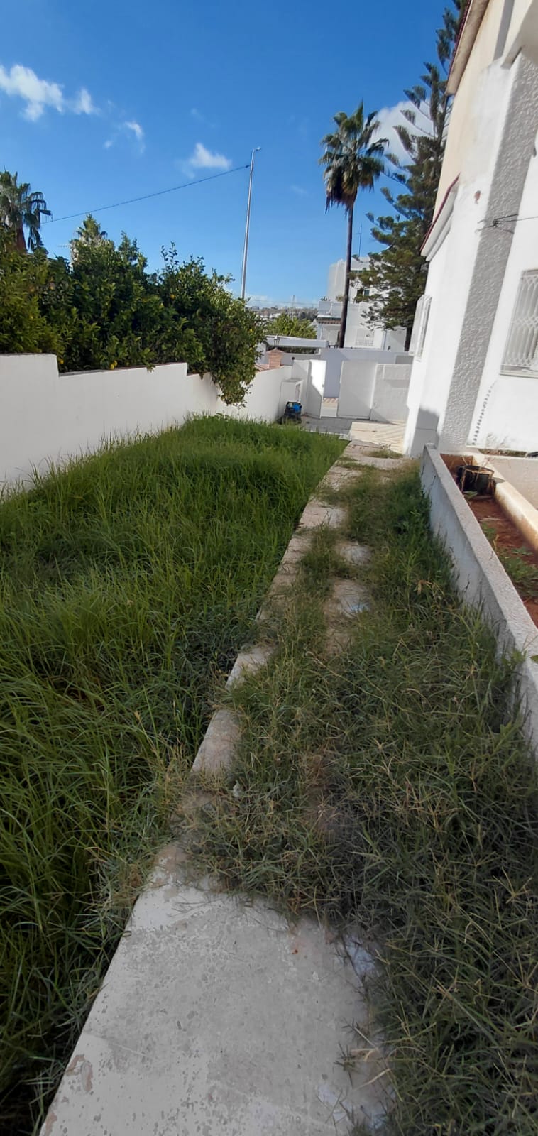 Ariana Ville&nbsp;El Menzah 7&nbsp;Location&nbsp;Maisons&nbsp;Rez de chauss�e de villa s5 a el manzah 7 wb4561