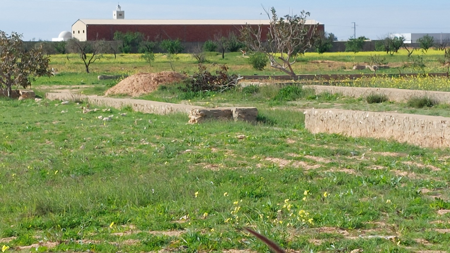 Sfax Sud&nbsp;El Khazzanette&nbsp;Terrain&nbsp;Terrain agricole&nbsp;Terrain 5 707 m2 rte menzel chaker km 11 tf