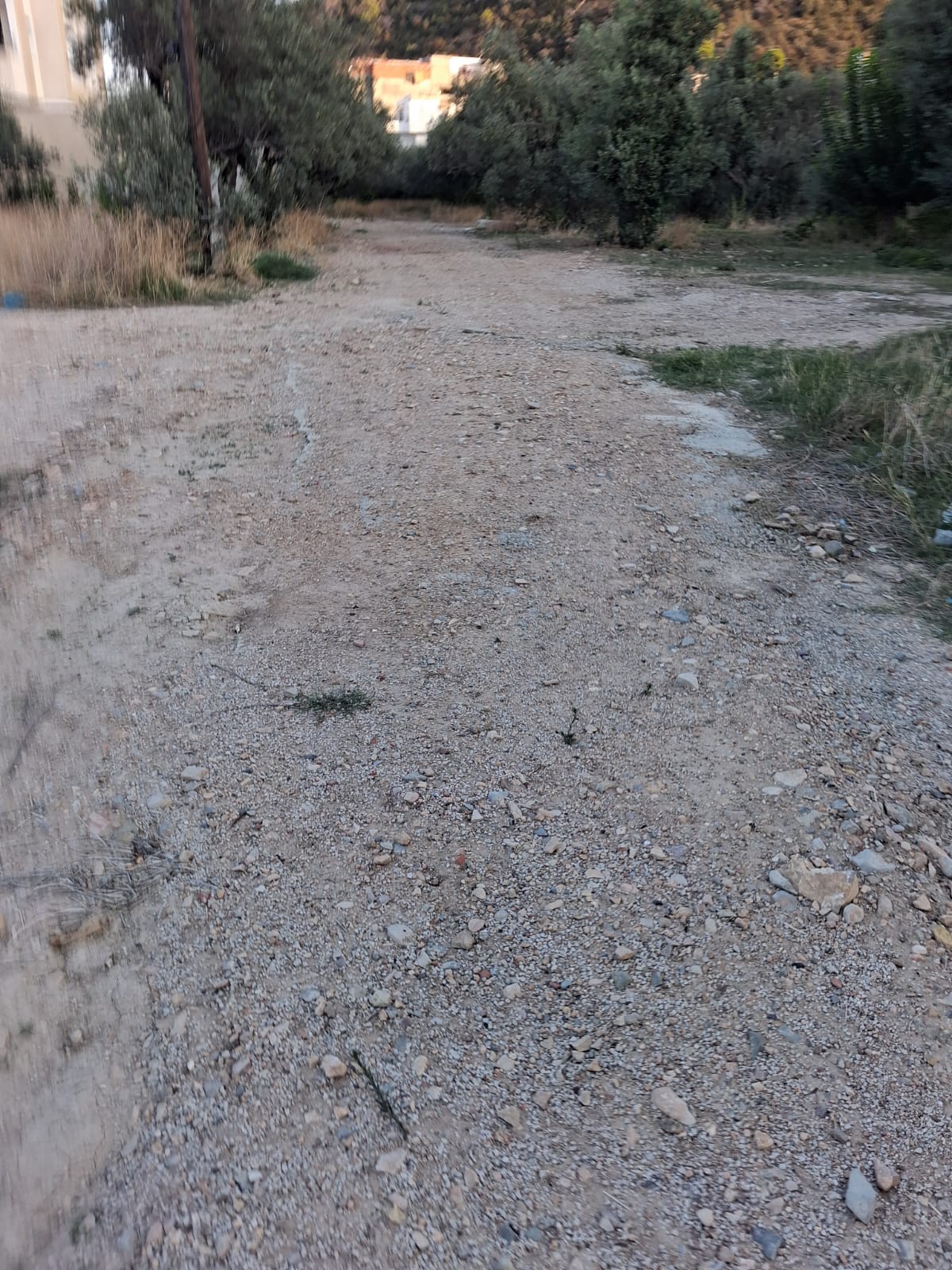 Hammam Lif&nbsp;Hammam Lif&nbsp;Terrain&nbsp;Terrain nu&nbsp;Gps  terrain viabilis� cot� oillybi h lif