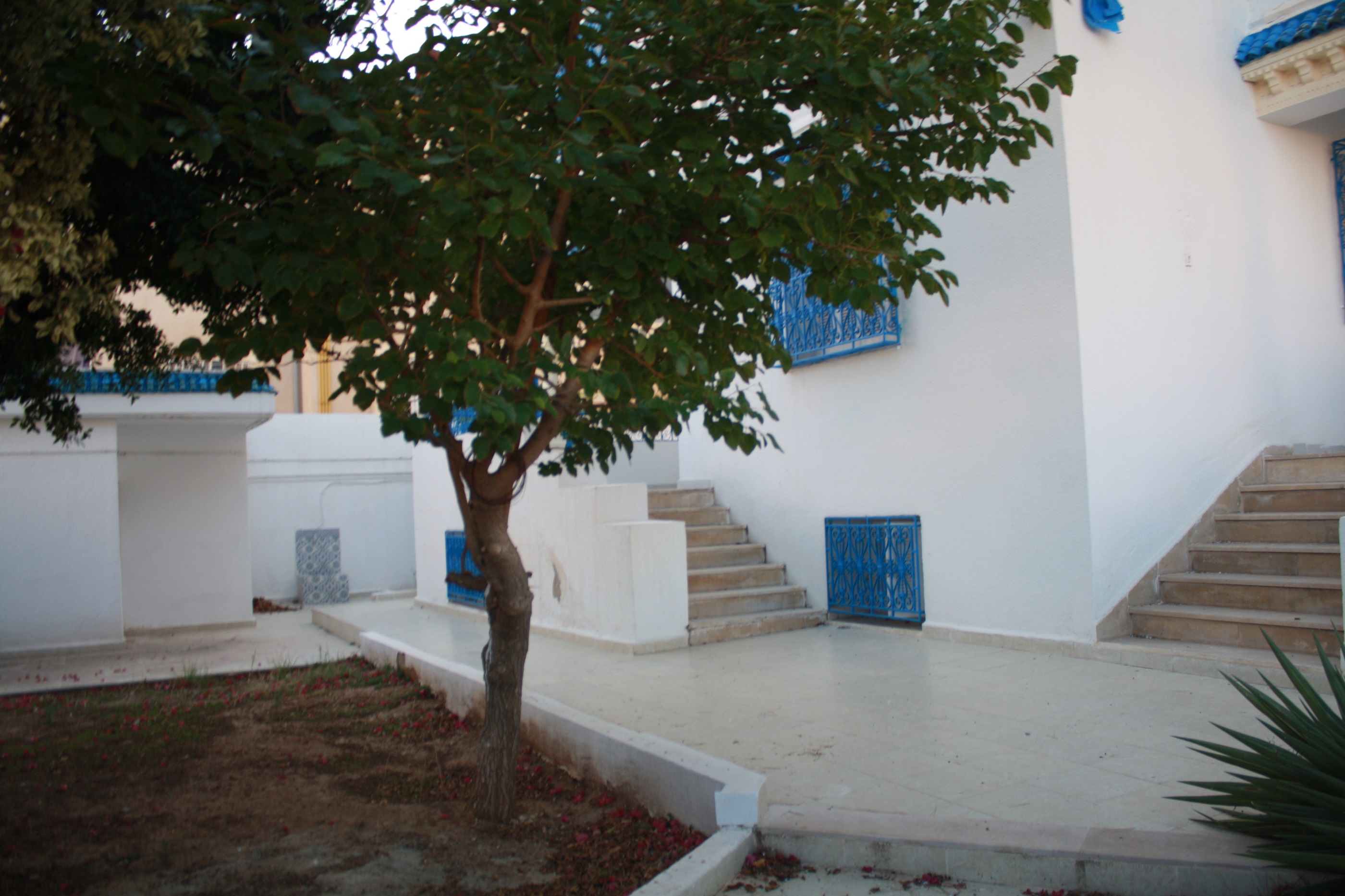 Hammam Chatt&nbsp;Hammam Chatt&nbsp;Location&nbsp;Maisons&nbsp;Gps villa rdc
