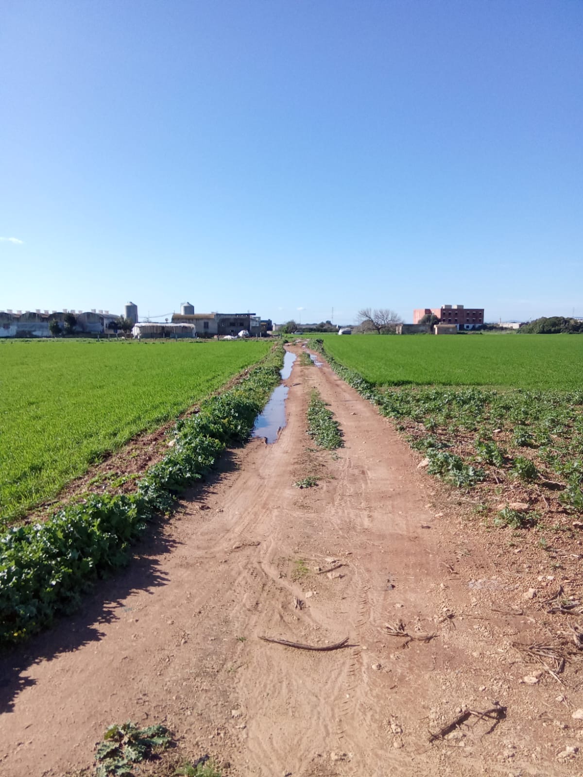 Kelibia&nbsp;Kelibia&nbsp;Terrain&nbsp;Terrain agricole&nbsp;Terrain agricole a cot� de la facult� iset kelibia