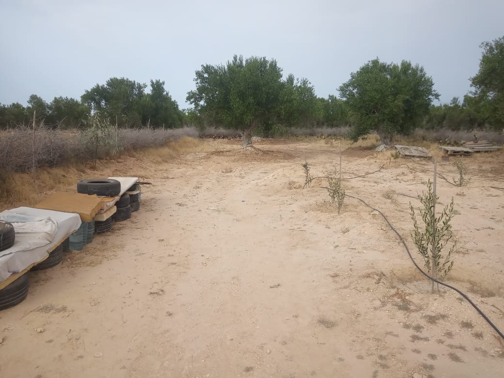 Sousse Riadh&nbsp;Ksibet Sousse&nbsp;Vente&nbsp;Surfaces&nbsp;Terrain agricole