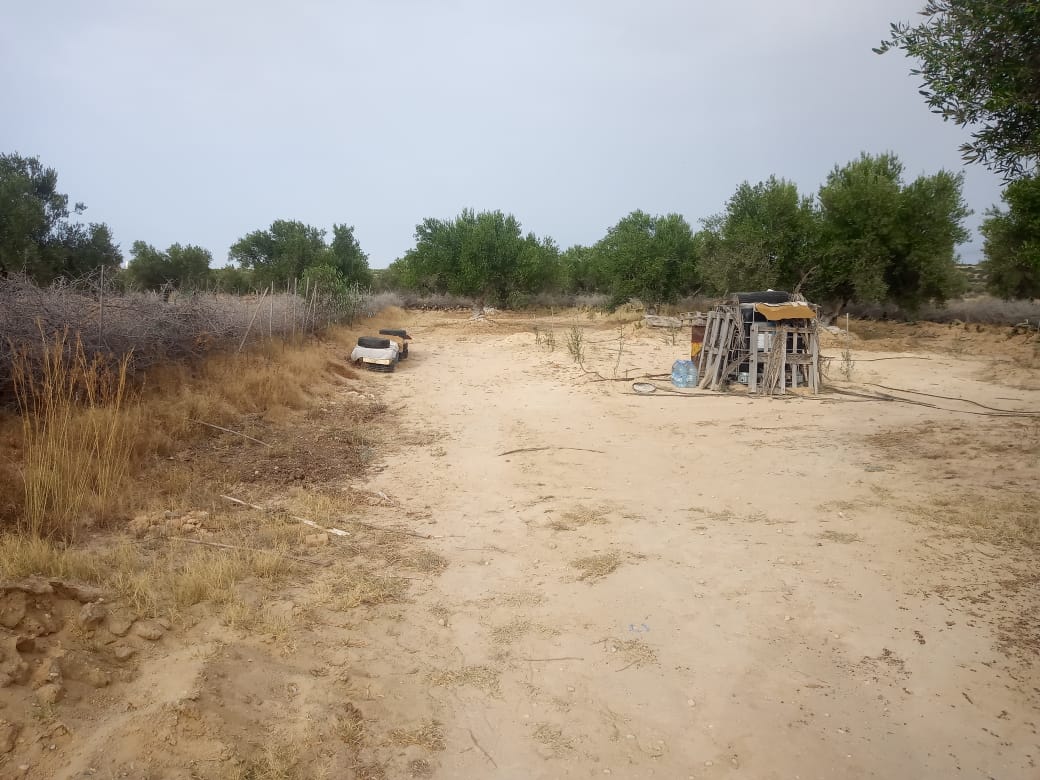 Sousse Riadh&nbsp;Ksibet Sousse&nbsp;Vente&nbsp;Surfaces&nbsp;Terrain agricole