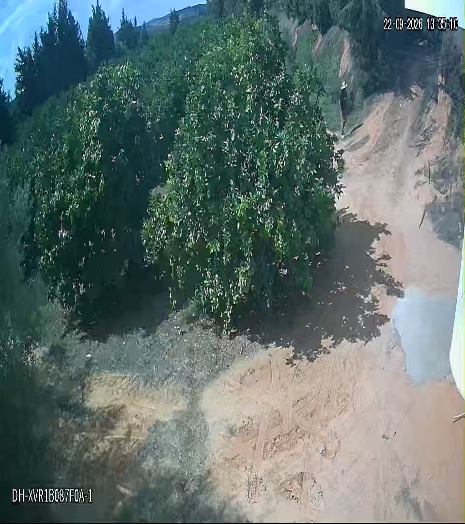Beni Khiar&nbsp;Ghardaya&nbsp;Vente&nbsp;Autre&nbsp;5 hectares senya