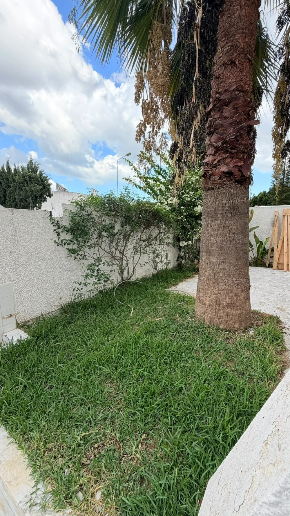 El Menzah&nbsp;El Menzah 9&nbsp;Vente&nbsp;Maisons&nbsp;Prestigieuse villa a menzah 9a