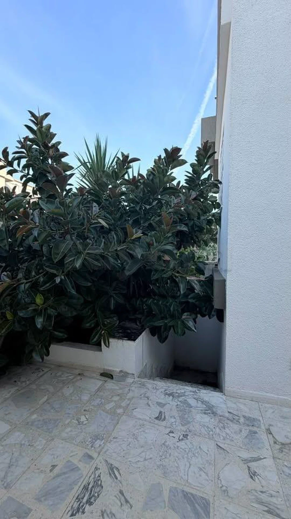 El Menzah&nbsp;El Menzah 9&nbsp;Location&nbsp;Maisons&nbsp;Villa s6 haut standing � menzah 9a