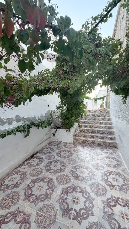 El Menzah&nbsp;El Menzah 9&nbsp;Location&nbsp;Maisons&nbsp;S1 en rezdejardin  el menzah 9