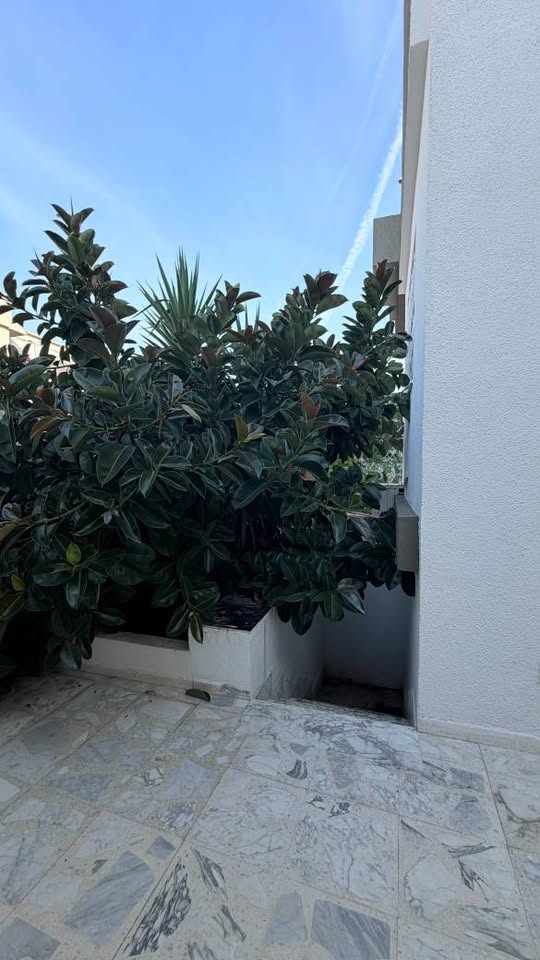 El Menzah&nbsp;El Menzah 9&nbsp;Location&nbsp;Maisons&nbsp;Joli s6 haut standing � menzah 9a
