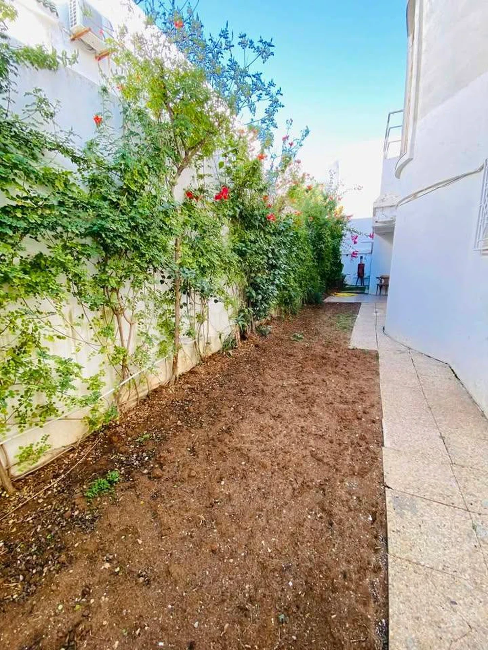 El Menzah&nbsp;El Menzah 9&nbsp;Vente&nbsp;Duplex&nbsp;S5 � menzah 9
