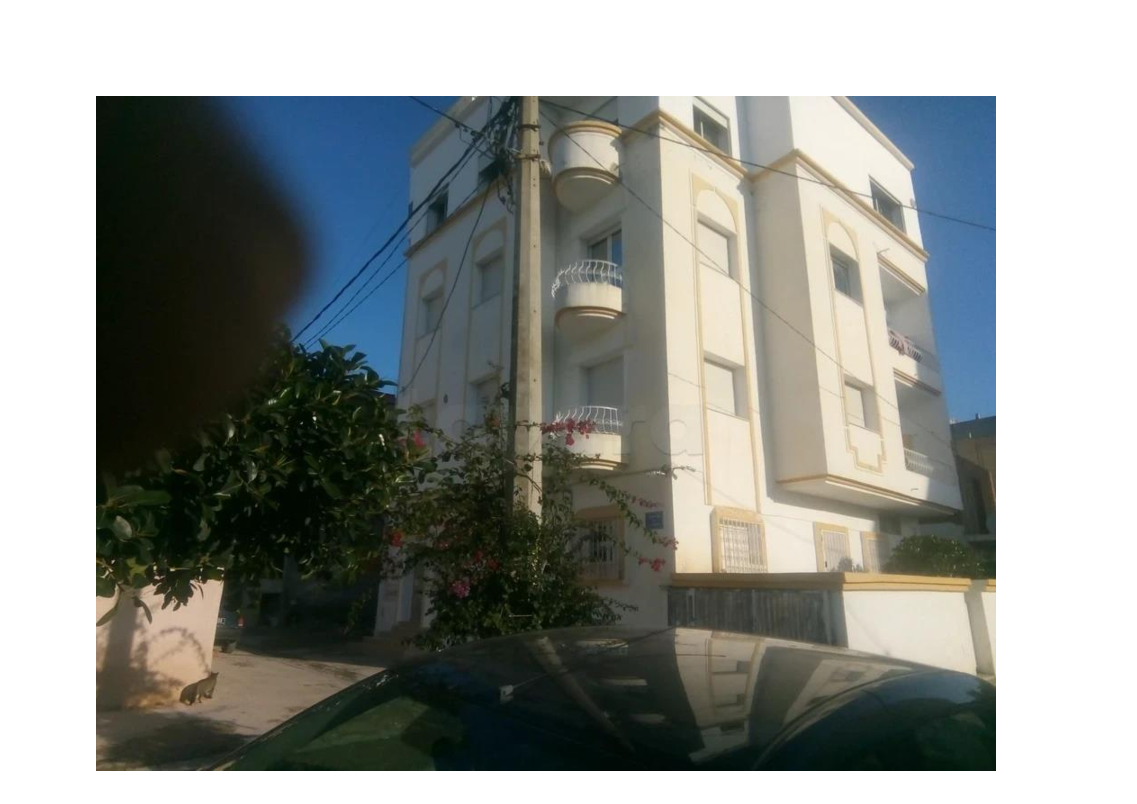 La Marsa&nbsp;Gammart&nbsp;Location&nbsp;Appart. 3 pi�ces&nbsp;Etage de villa