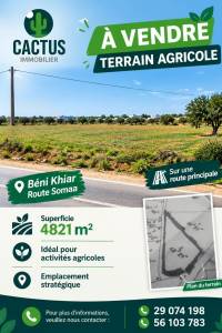 Nabeul&nbsp;Nabeul&nbsp;Vente&nbsp;Surfaces&nbsp;  terrain agricole de 4821m ref801a