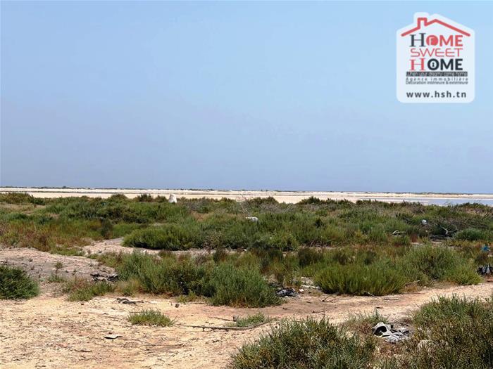 Kelibia&nbsp;Kelibia&nbsp;Terrain&nbsp;Terrain agricole&nbsp;Terrain agricole merolia � el maamoura
