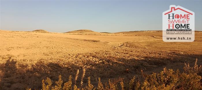 Le Kef Est&nbsp;Zaafrane&nbsp;Terrain&nbsp;Terrain agricole&nbsp;Terrain agricole ozyra � zaafrane le kef