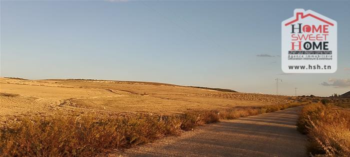 Le Kef Est&nbsp;Zaafrane&nbsp;Terrain&nbsp;Terrain agricole&nbsp;Terrain agricole ozyra � zaafrane le kef
