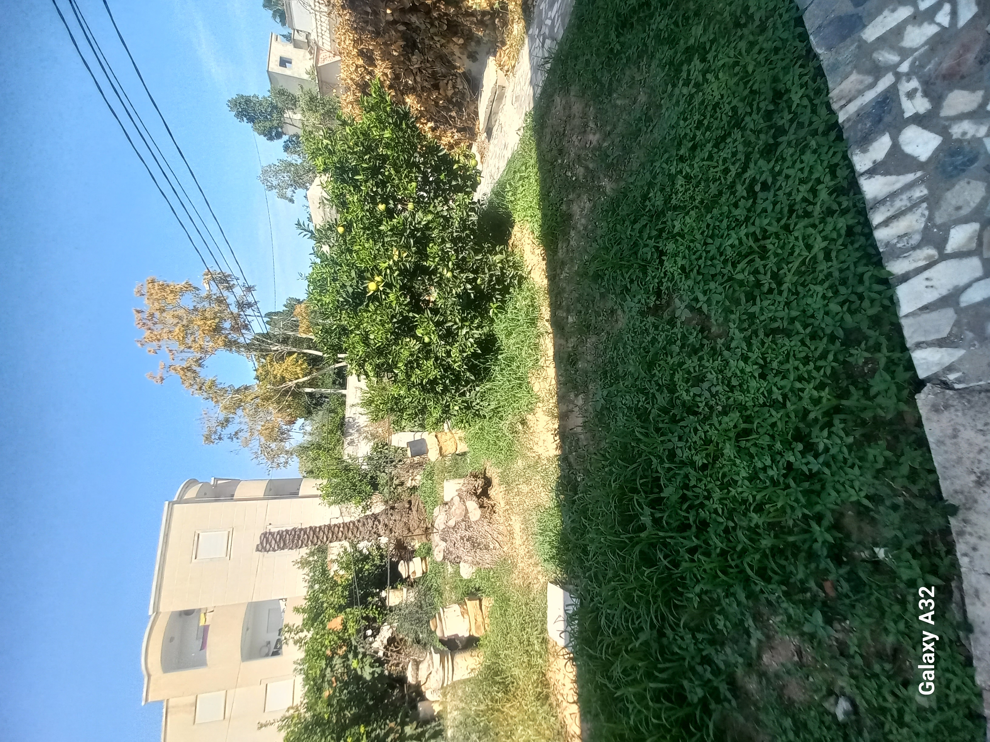Le Bardo&nbsp;Le Bardo&nbsp;Terrain&nbsp;Terrain nu&nbsp;Terrain � fort potentiel immobilier