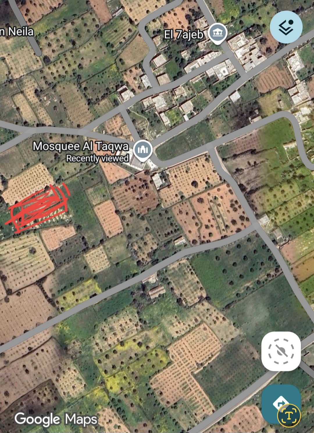 Ksour Essaf&nbsp;Cite El Hajeb&nbsp;Terrain&nbsp;Terrain agricole&nbsp;Terrain elhajeb salakta