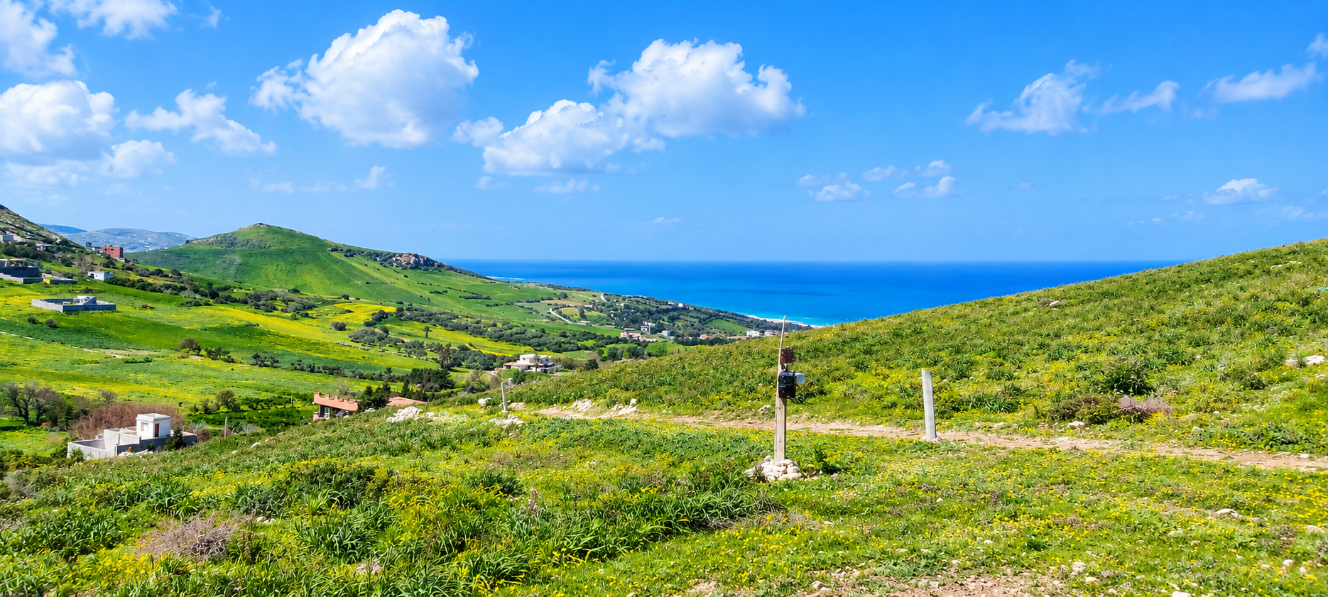 Bizerte Nord&nbsp;Bizerte&nbsp;Terrain&nbsp;Terrain agricole&nbsp;Ain berda bizerte