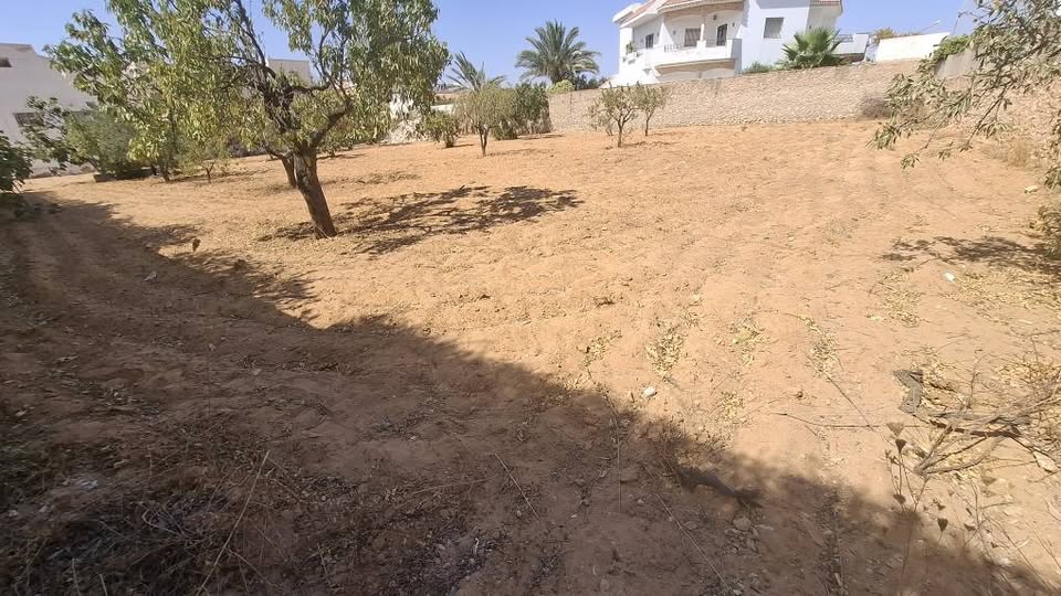 Sfax Sud&nbsp;Merkez Sahnoun&nbsp;Terrain&nbsp;Terrain nu&nbsp;Terrain � gremda km7