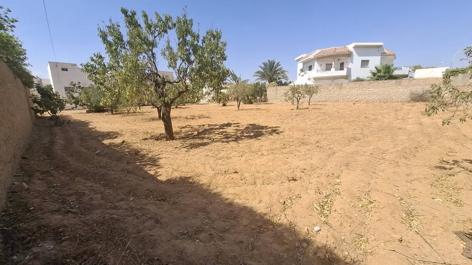 Sfax Sud&nbsp;Merkez Sahnoun&nbsp;Terrain&nbsp;Terrain nu&nbsp;Terrain � gremda km7