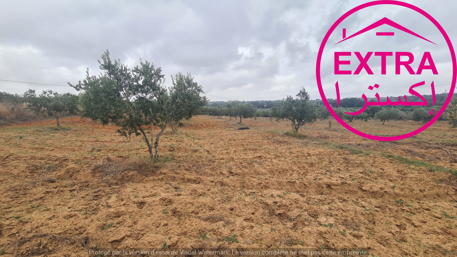 Beni Khiar&nbsp;Ghardaya&nbsp;Terrain&nbsp;Terrain agricole&nbsp;2eme campagne a ghardaia