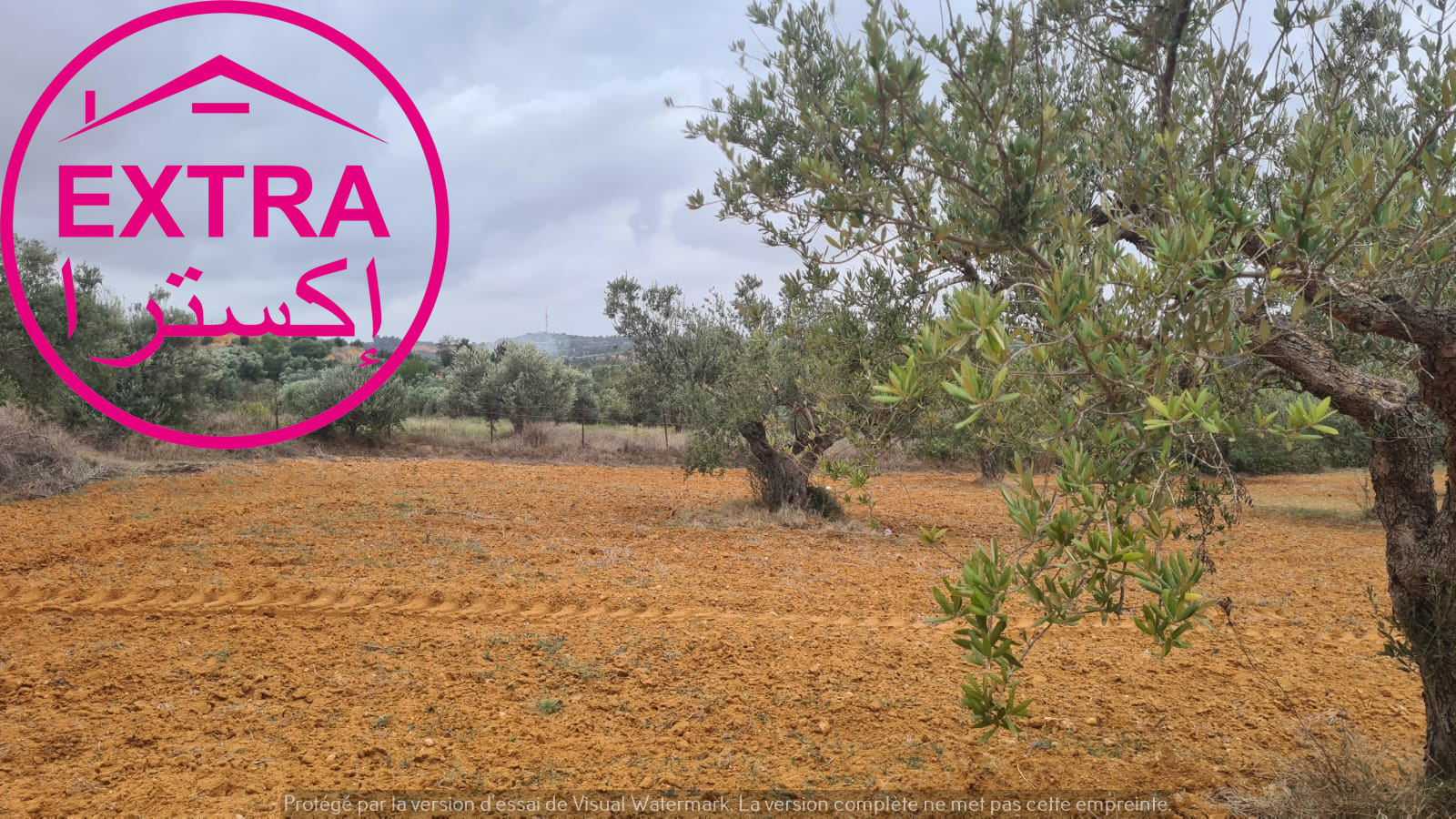 Beni Khiar&nbsp;Ghardaya&nbsp;Terrain&nbsp;Terrain agricole&nbsp;2eme campagne a ghardaia
