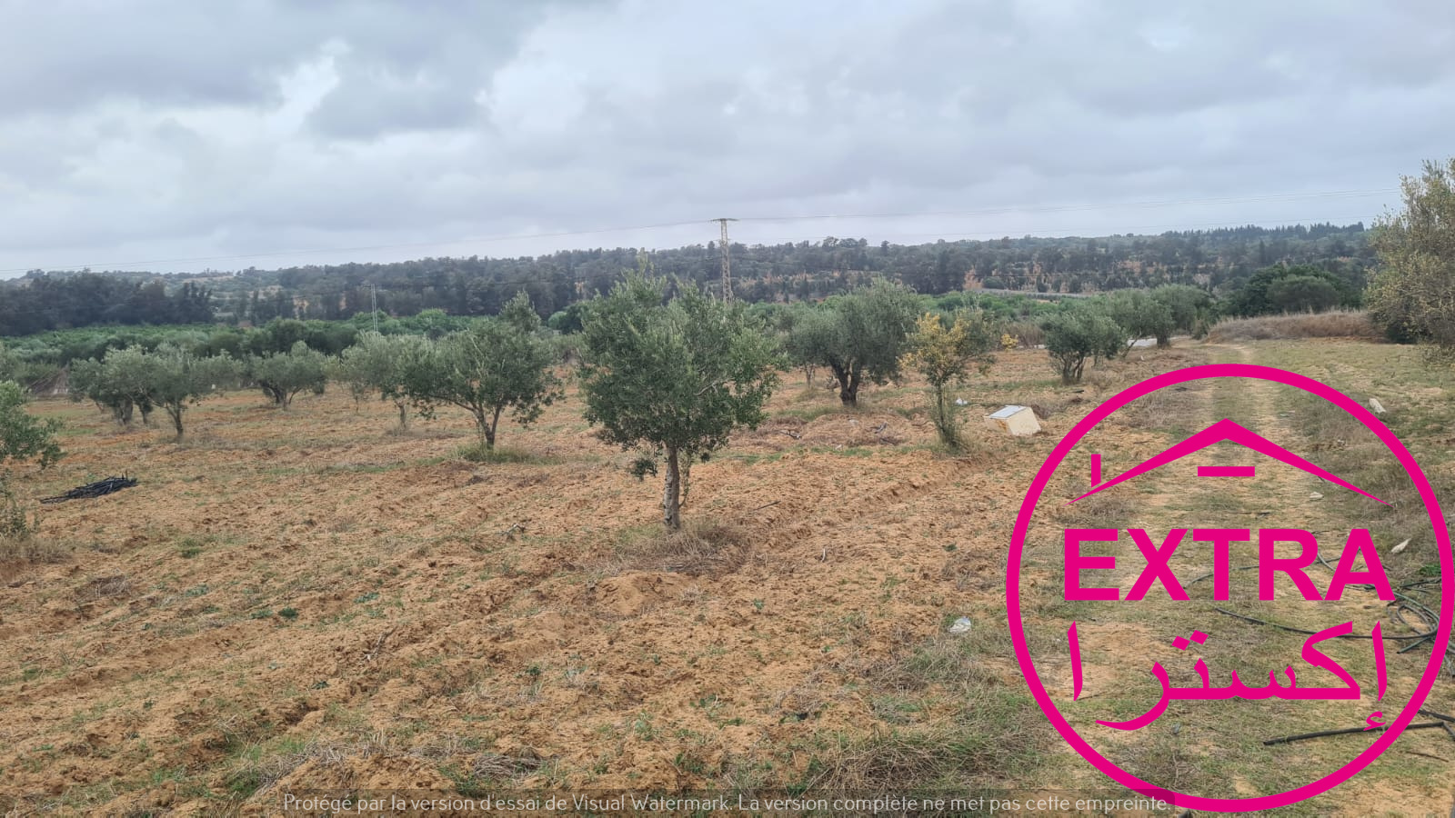 Beni Khiar&nbsp;Ghardaya&nbsp;Terrain&nbsp;Terrain agricole&nbsp;2eme campagne a ghardaia