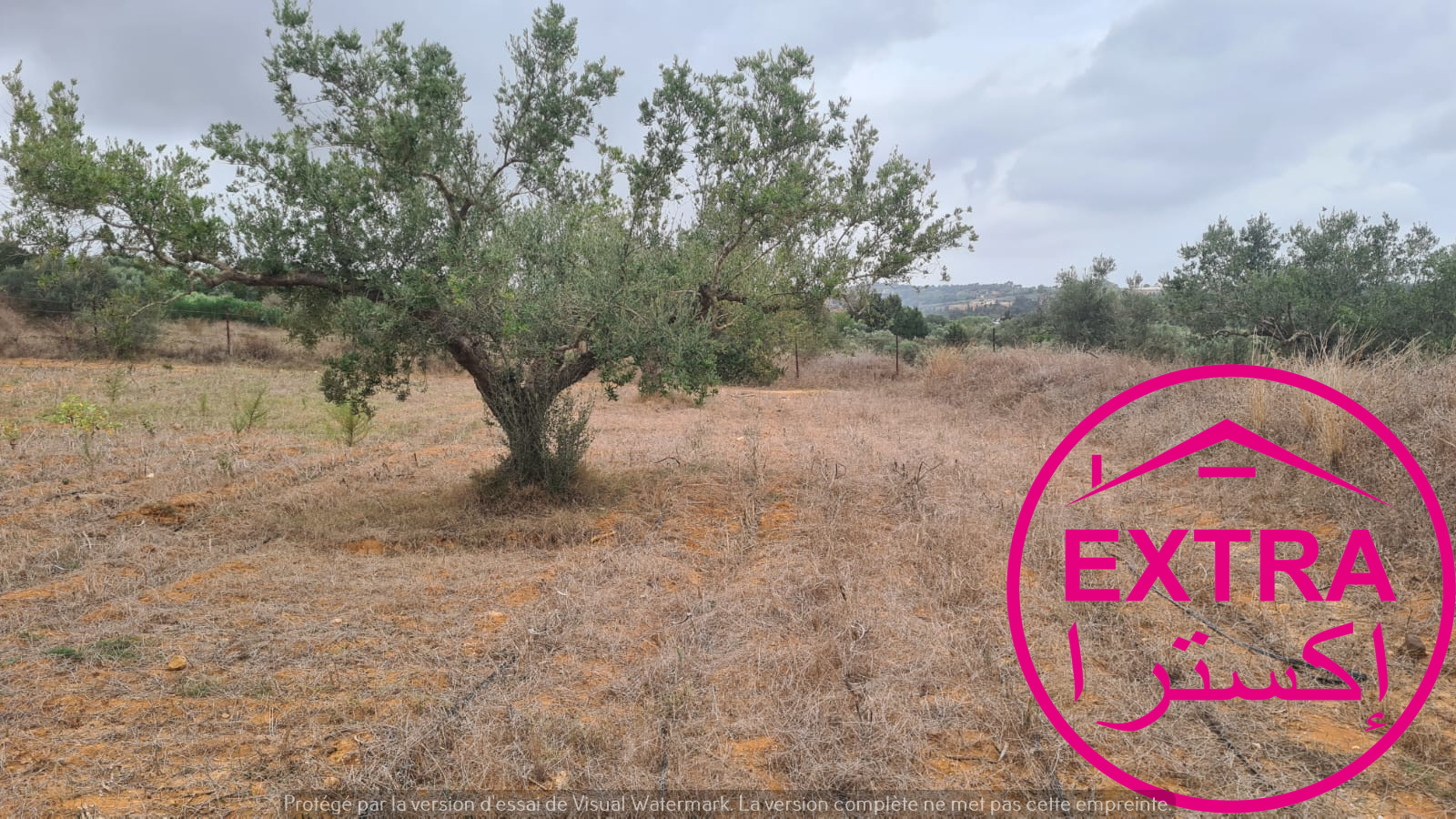 Beni Khiar&nbsp;Ghardaya&nbsp;Terrain&nbsp;Terrain agricole&nbsp;2eme campagne a ghardaia