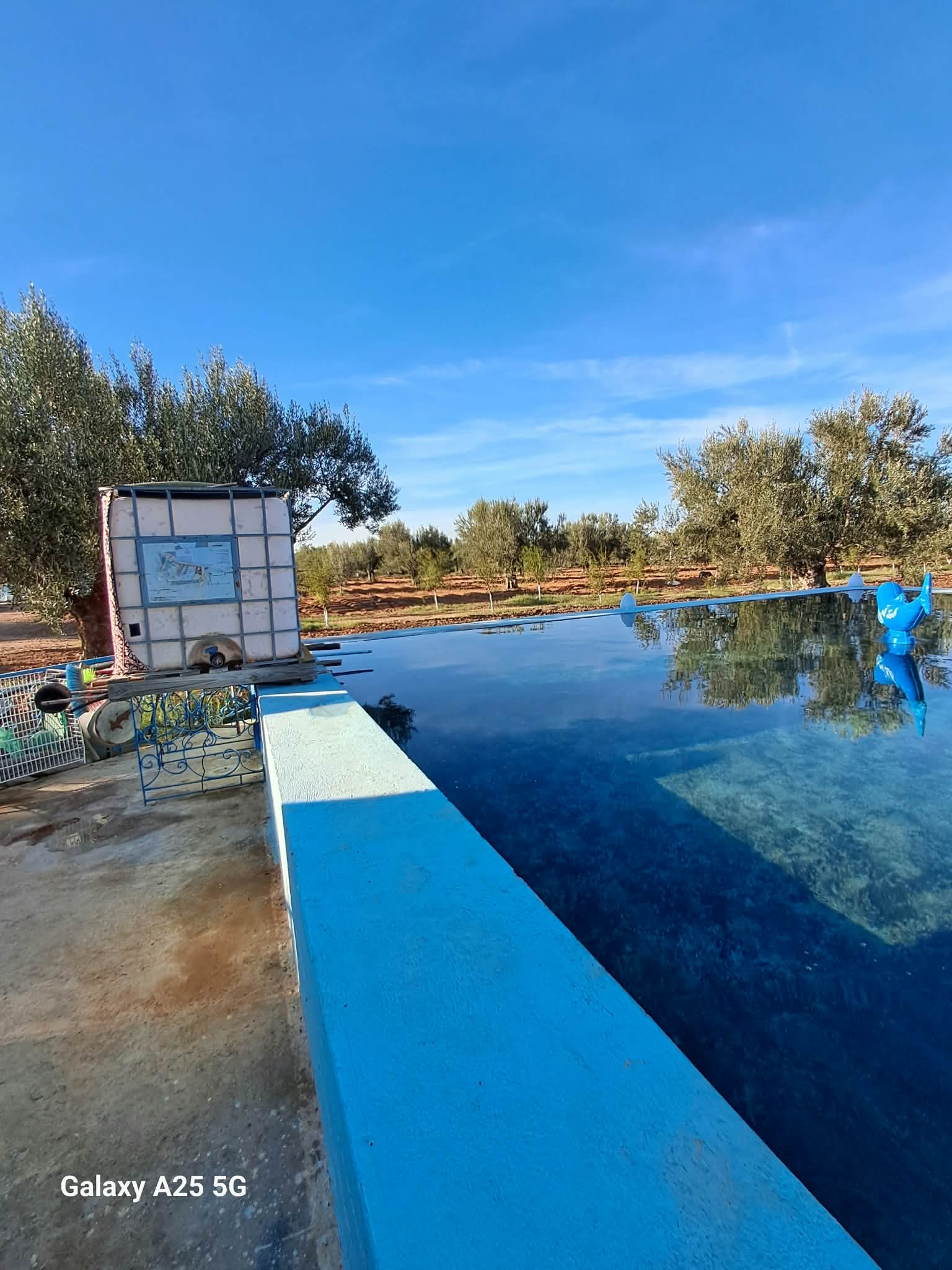 Kalaa El Kebira&nbsp;Belaoum&nbsp;Terrain&nbsp;Terrain agricole&nbsp;Senia cl�tur� 2 hectares et 4000m � kalaa kebira