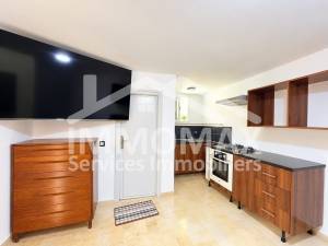 Ariana Ville&nbsp;El Menzah 5&nbsp;Location&nbsp;Appart. 1 pi�ce&nbsp;   s1  el menzah 5 ref246a