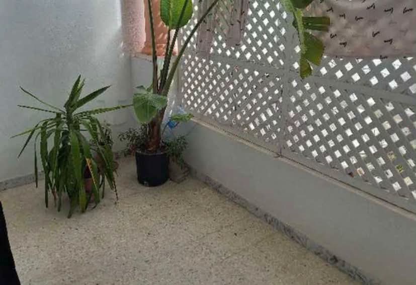 Ariana Ville&nbsp;Cite Ennasr 2&nbsp;Vente&nbsp;Appart. 3 pi�ces&nbsp;S2 380 md ennasr 2
