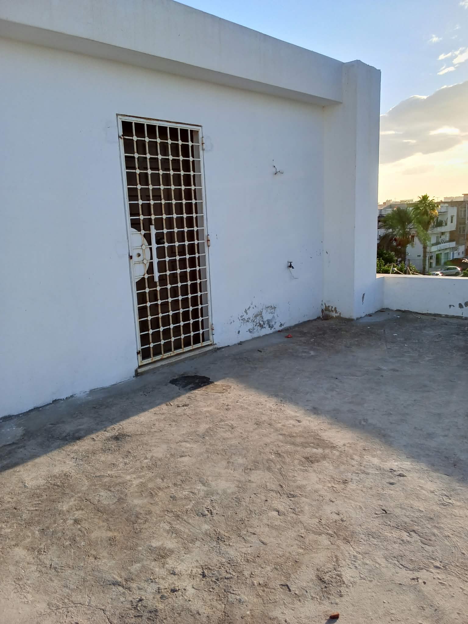 Carthage&nbsp;El Yasmina&nbsp;Location&nbsp;Appart. 1 pi�ce&nbsp;Appartement d'une pi�ce