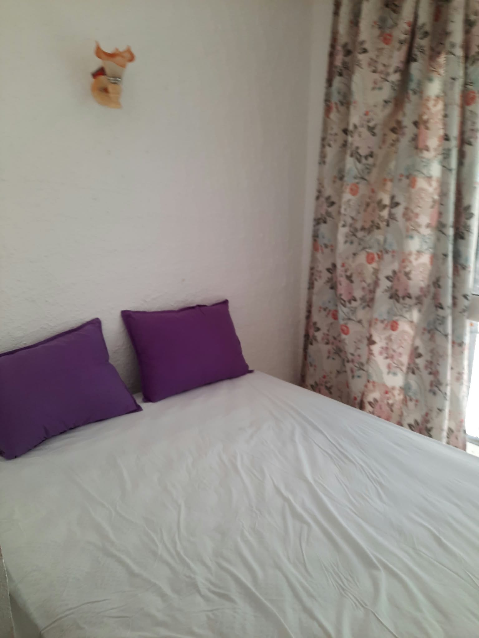 Hammam Sousse&nbsp;El Kantaoui&nbsp;Location&nbsp;Appart. 1 pi�ce&nbsp;Coquette maison � kantawi