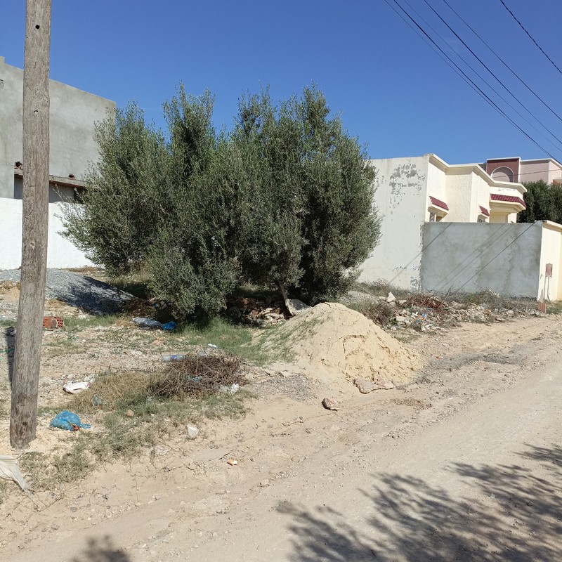 Hammamet&nbsp;Hammamet&nbsp;Terrain&nbsp;Terrain nu&nbsp;Av 250m vocation d'habitation � hammamet sud