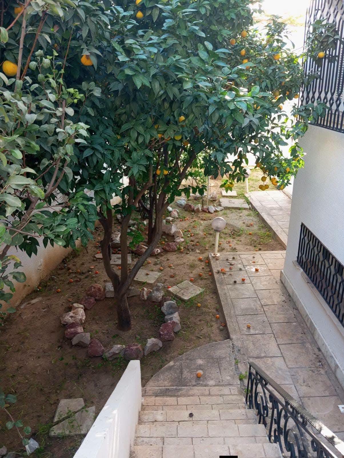 Ariana Ville&nbsp;Cite Ennasr 2&nbsp;Location&nbsp;Maisons&nbsp;Villa 2s avec piscine ennaser 2