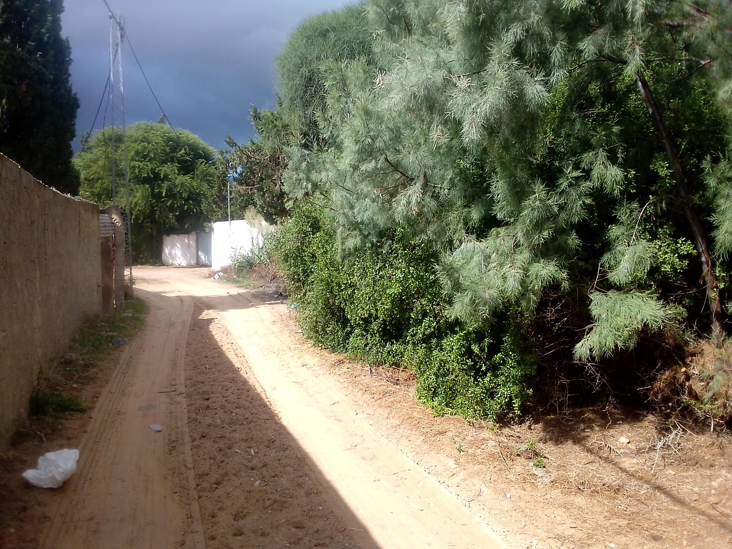 Ras Jebel&nbsp;Ras Jebel&nbsp;Vente&nbsp;Maisons&nbsp;Maison s 2  terrain route plage mami