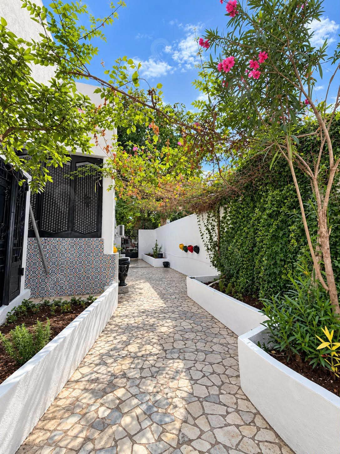 El Menzah&nbsp;Tunis Belvedere&nbsp;Location&nbsp;Appart. 1 pi�ce&nbsp;Joli s1 meubl� avec jardin