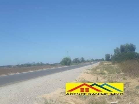 El Haouaria&nbsp;El Haouaria&nbsp;Terrain&nbsp;Terrain agricole&nbsp;Terrain agricole a el haouaria cap bon