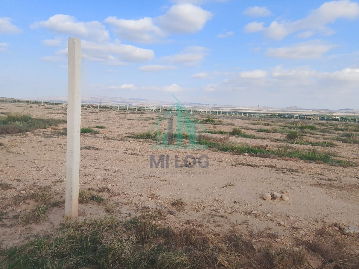 Kasserine Nord&nbsp;Magdoudech&nbsp;Terrain&nbsp;Terrain agricole&nbsp;Une ferme de 6h � kasserine nord magdoudech