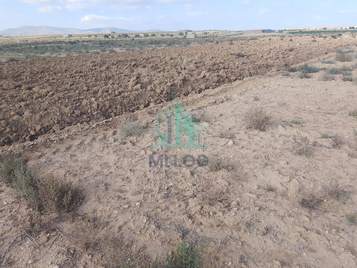 Kasserine Nord&nbsp;Magdoudech&nbsp;Terrain&nbsp;Terrain agricole&nbsp;Une ferme de 6h � kasserine nord magdoudech