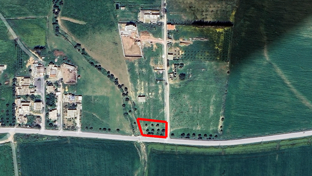 Mornaguia&nbsp;El Hamayem&nbsp;Terrain&nbsp;Terrain agricole&nbsp;1500m avec oliviers sur la route hmayem n�gociable
