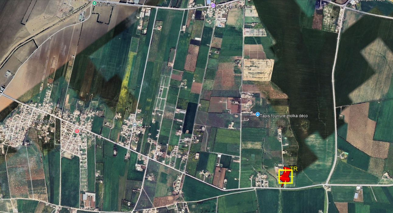 Mornaguia&nbsp;El Hamayem&nbsp;Terrain&nbsp;Terrain agricole&nbsp;1500m avec oliviers sur la route hmayem n�gociable