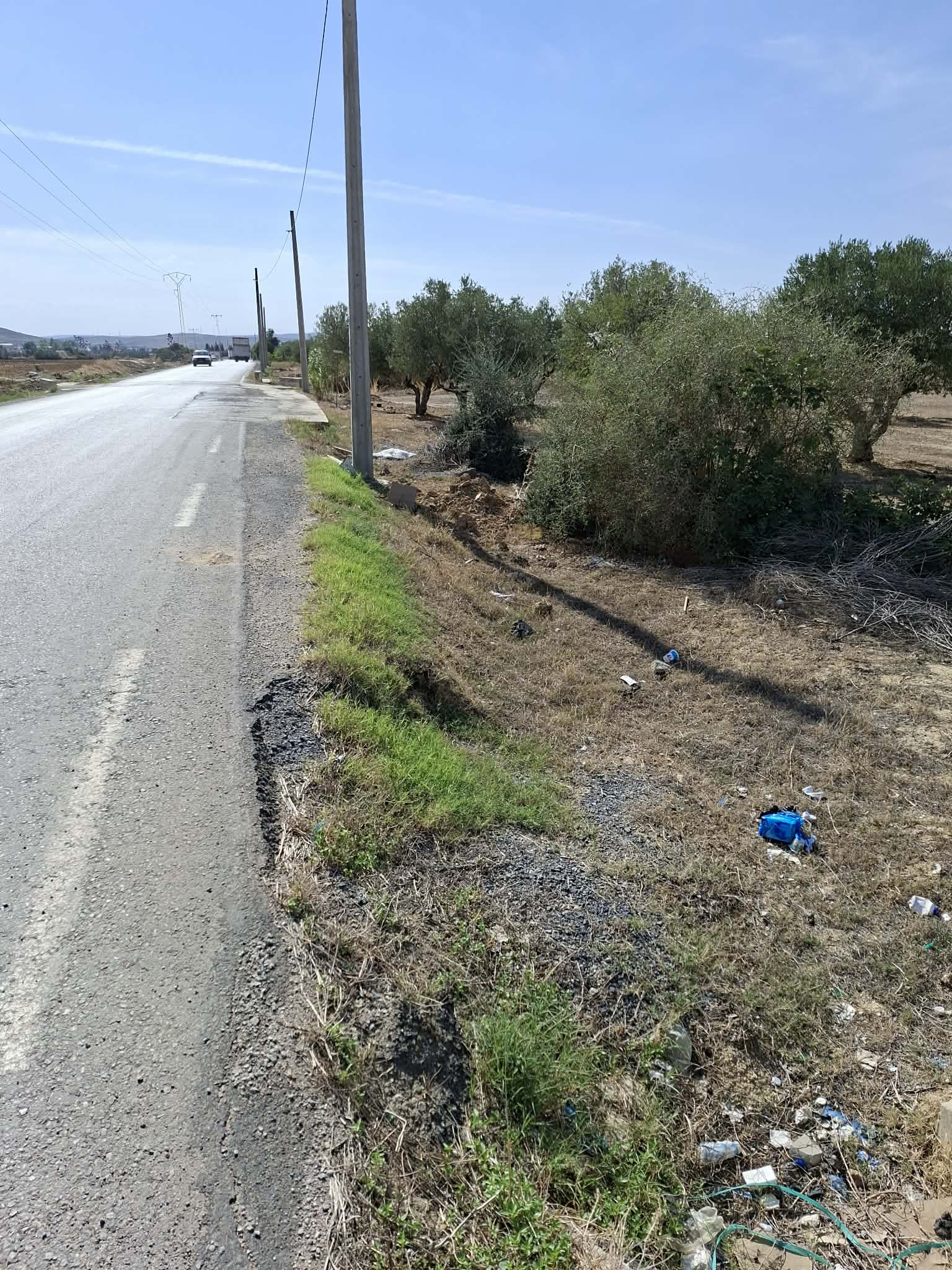 Mornaguia&nbsp;El Hamayem&nbsp;Terrain&nbsp;Terrain agricole&nbsp;1500m avec oliviers sur la route hmayem n�gociable