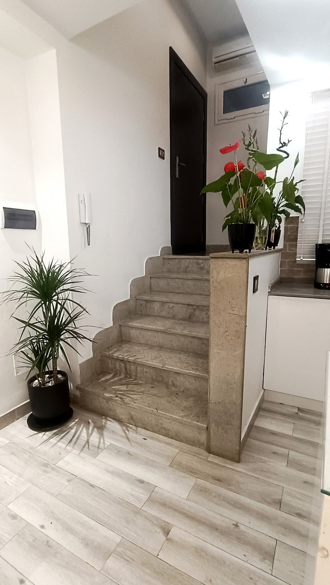 Nabeul&nbsp;Nabeul&nbsp;Location&nbsp;Appart. 1 pi�ce&nbsp;Appartement coquet