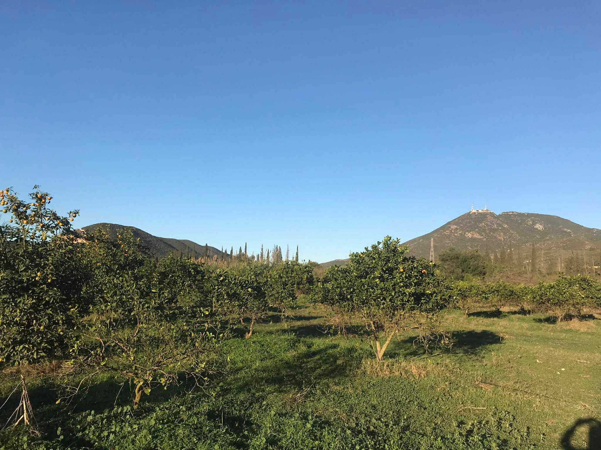 Mornag&nbsp;Chala&nbsp;Terrain&nbsp;Terrain nu&nbsp;Terrain de r�ve