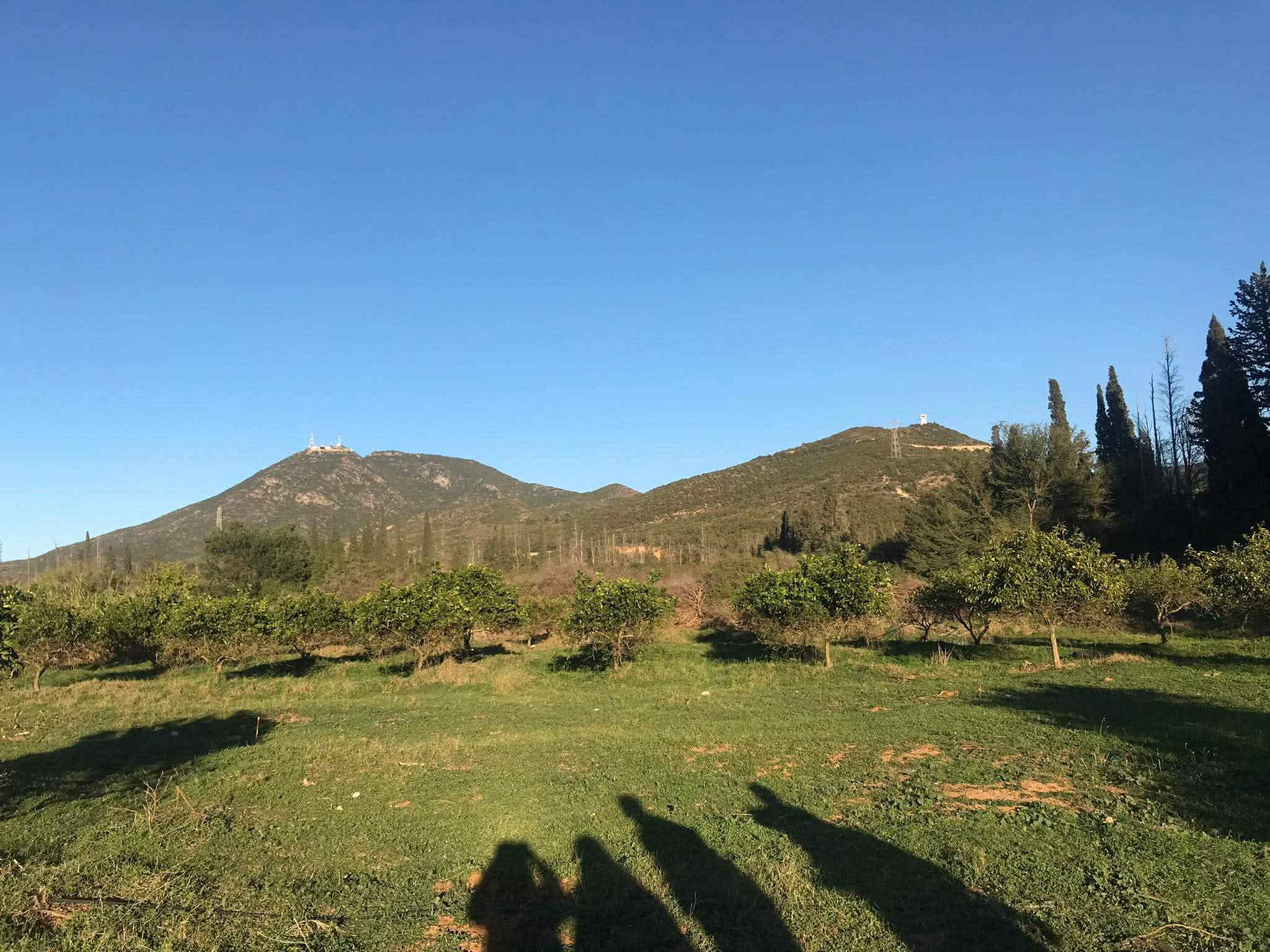 Mornag&nbsp;Chala&nbsp;Terrain&nbsp;Terrain nu&nbsp;Terrain de r�ve