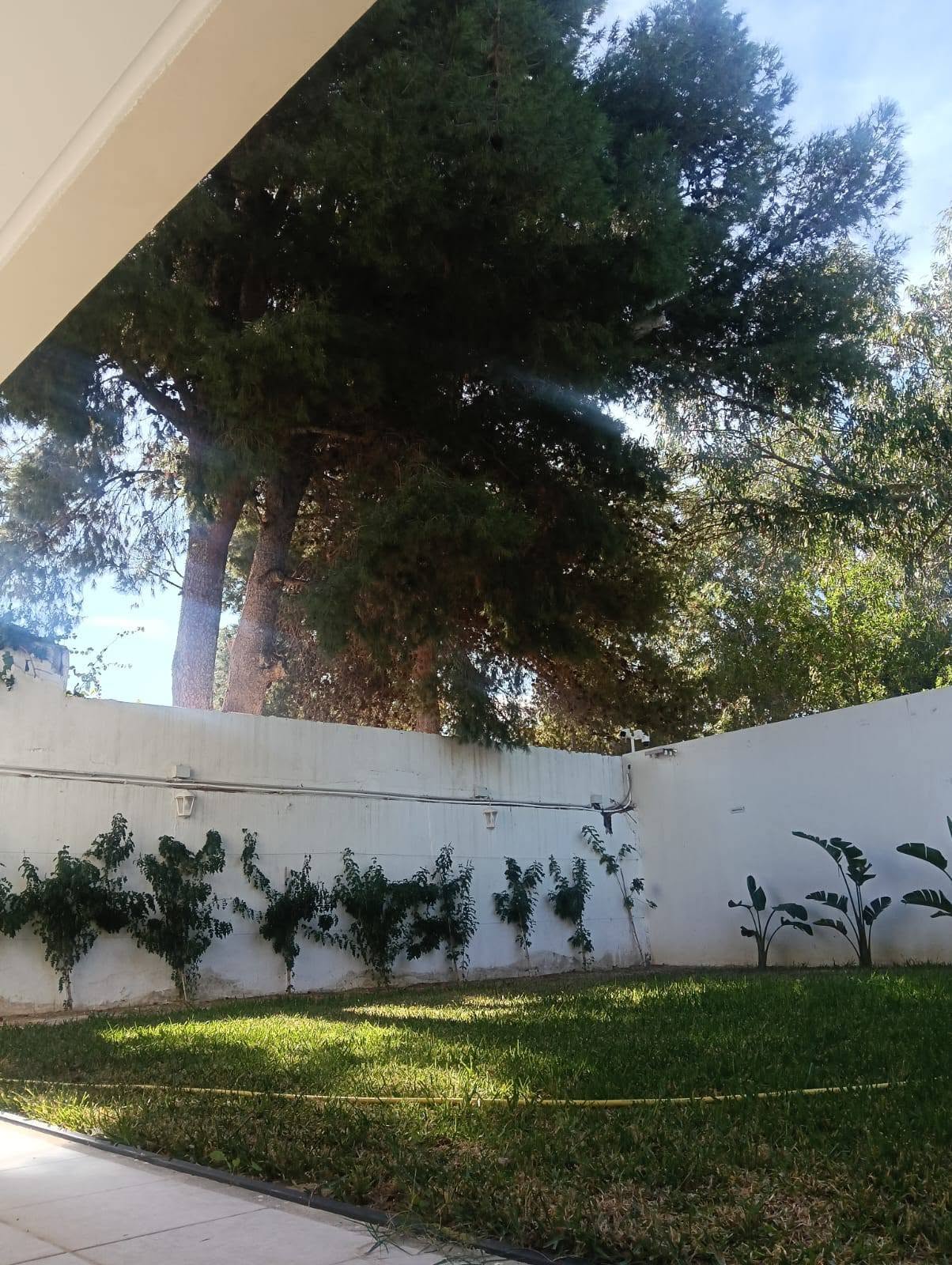 La Marsa&nbsp;Gammart&nbsp;Location&nbsp;Appart. 2 pi�ces&nbsp;Appartement richement meubl� � gammart sup
