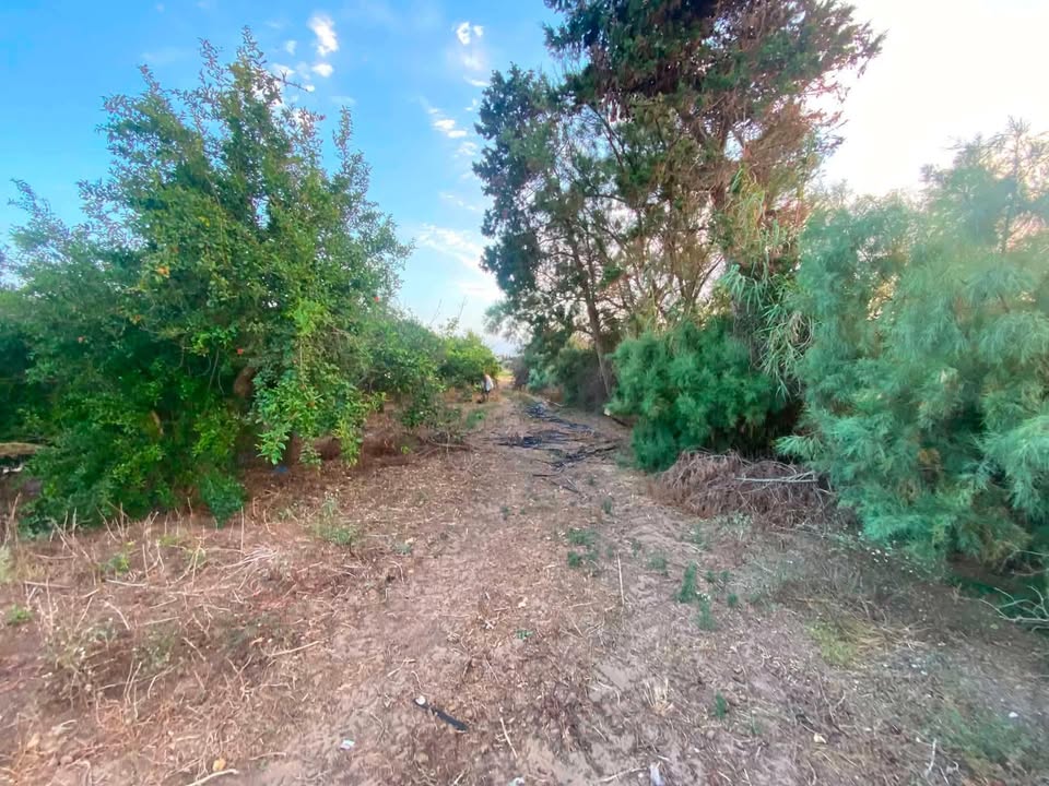 El Haouaria&nbsp;El Gorfa&nbsp;Terrain&nbsp;Terrain agricole&nbsp;Terrain agricole
