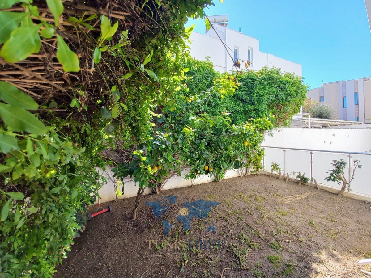 Ain Zaghouan&nbsp;Jardins de Carthage&nbsp;Location&nbsp;Appart. 3 pi�ces&nbsp;Appartement s2 vide aux  jardins de carthage