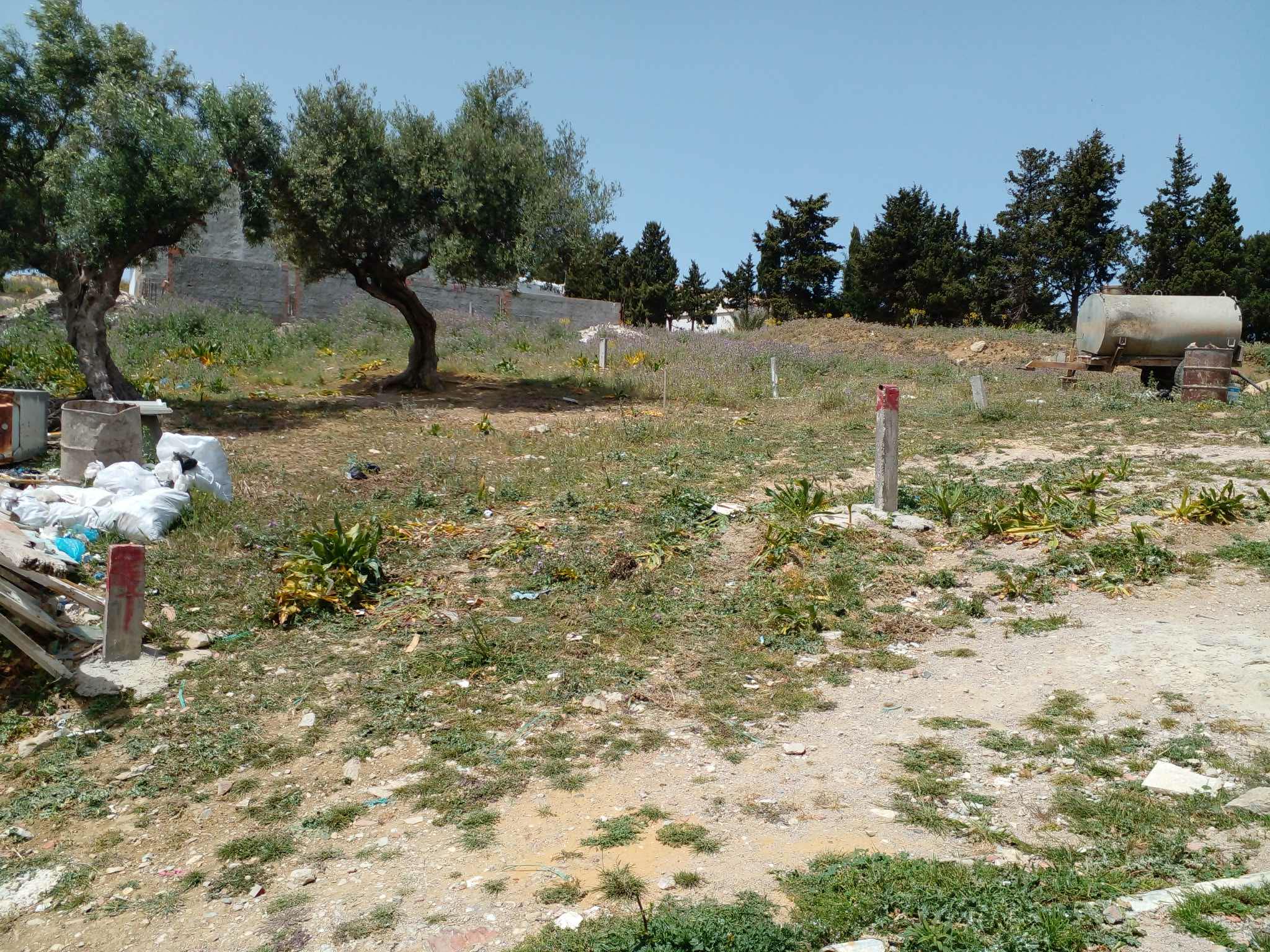 Bizerte Nord&nbsp;Bizerte&nbsp;Terrain&nbsp;Terrain nu&nbsp;Affaire luxe
